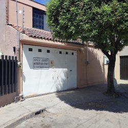 Notaria Publica N° 7 (León )