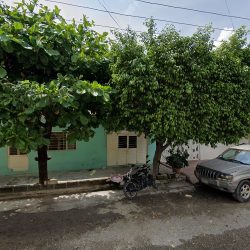 Notaría Pública No. 102 (Tuxtla Gutiérrez )