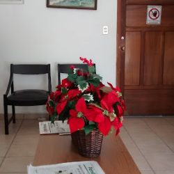 Notaría Pública No. 11 (Tuxtla Gutiérrez )
