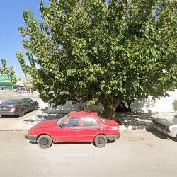 Notaria Pública No. 8 (Torreón )