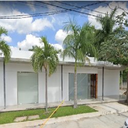 Notaria Pública Numero 100 (Mérida )