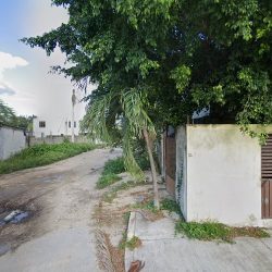 Notaria Pública Número 25 Del Estado De Quintana Roo (Othón P. Blanco )