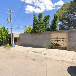 Notaria Publica Numero 3 (Saucillo )