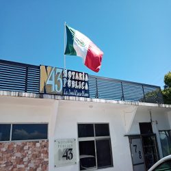 Notaría Pública Número 43 Medellín De Bravo, Ver. (Medellín )