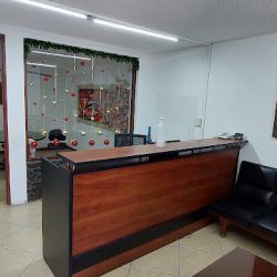 Notaria Pública Número 5 (San Juan del Río )