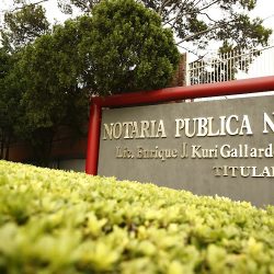 Notaria Pública Número 84 (Monterrey )
