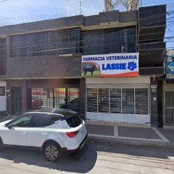 Notaria Rocío Oranday (Torreón )
