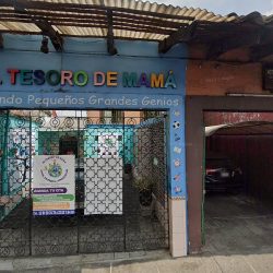Notario Público Número 5 Licenciado Jorge S.c.hleske Tiburcio (Coatepec )