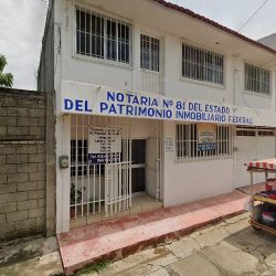 Notario Público Número 81 Del Estado De Chiapas (Acapetahua )