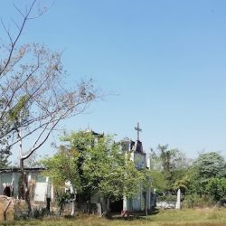 Nuevo Milenio Valdivia (Mapastepec )