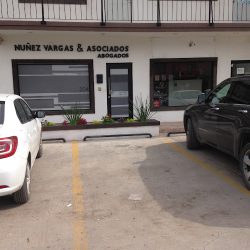 Nuñez Vargas Y Asociados S.c. (Victoria )