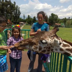 Parque Ecológico Zacango (Calimaya )