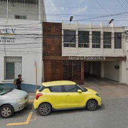 Pedraza Díaz Raúl (Monterrey )