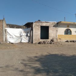 Rizos De La Joya (León )