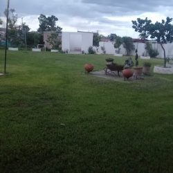 Rizos Del Saucillo Ii (León )