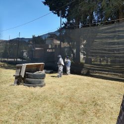 San José Mezapa Sección Uno,tianguistenco (Tianguistenco )