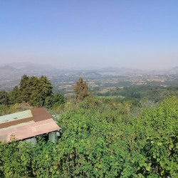 San Marcos Tecomaxusco (Ecatzingo )