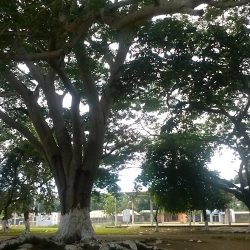 Santo Domingo Kesté (Champotón )