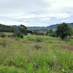 Santo Domingo Shomegé (Atlacomulco )