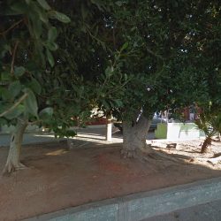 Servicios De Escritorio Publico (Mexicali )