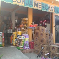 Tortilleria De Rincon De Aguirre (Tejupilco )