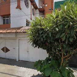 Tramites Notariales En Morelia - Notaria Publica (Morelia )