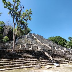 Zona Arqueológica De Calakmul (Calakmul )